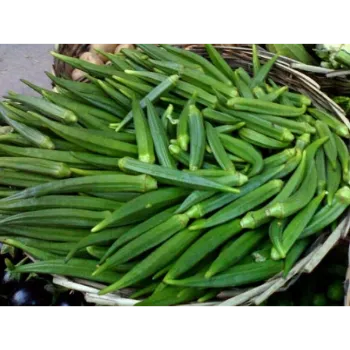 Organic Lady Finger